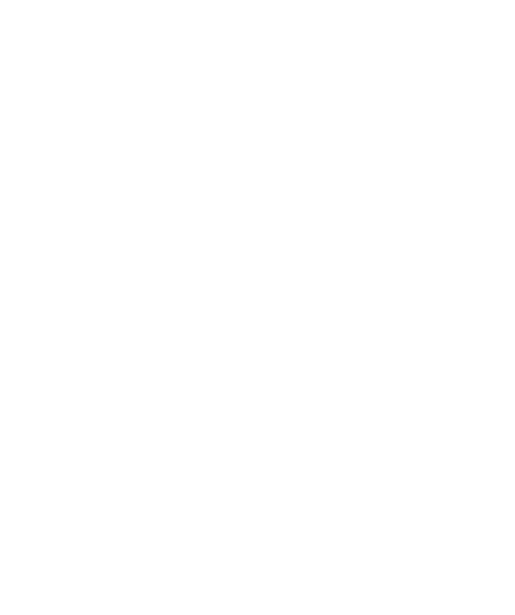 Sanad Store Logo